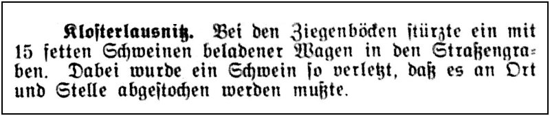 1905-08-30 Kl Ziegenboecke
